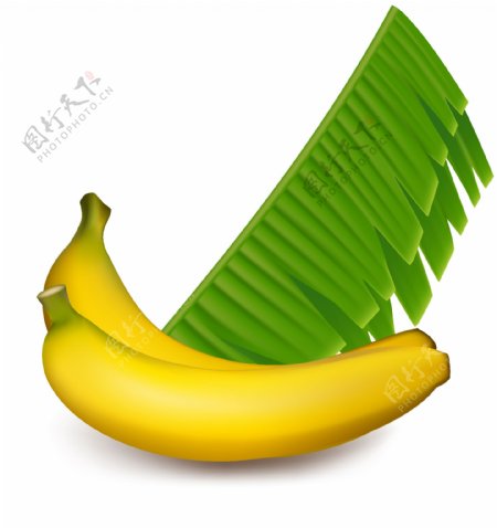 香蕉矢量图片