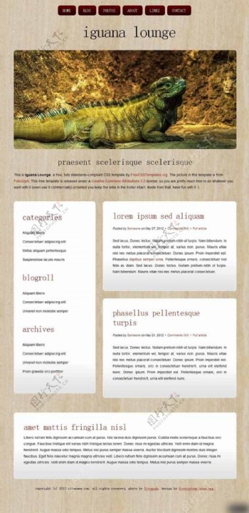鬣蜥休息室木质背景网页模板