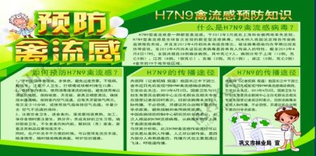H7N9版面