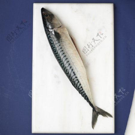 砧板上的秋刀鱼图片