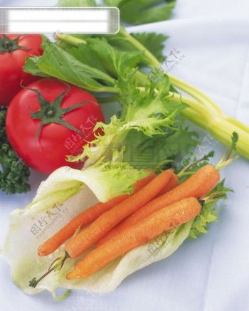 蔬菜红萝卜生菜西红杮芹菜