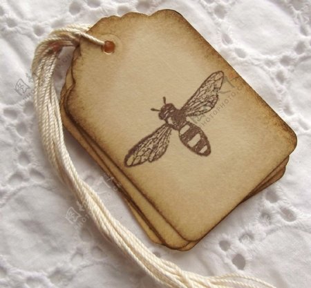吊牌动物昆虫蜜蜂免费素材