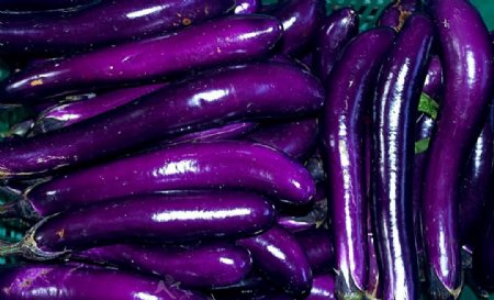 紫色茄子蔬菜食品图片