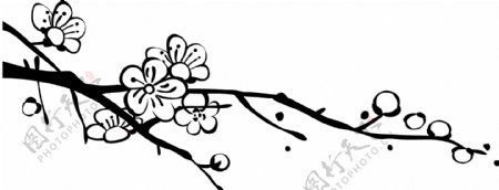 AI矢量图多款植物花黑白矢量花纹边框鸟类蝴蝶花朵树叶梅花