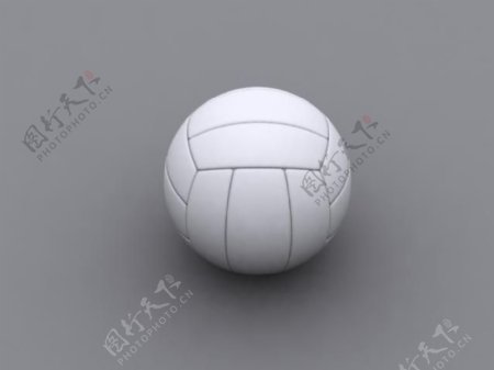 漂亮排球3d模型