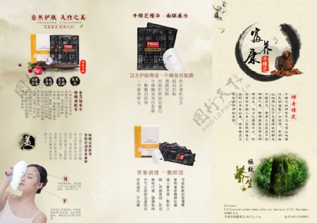 中国风复古牛樟芝宣传折页展板