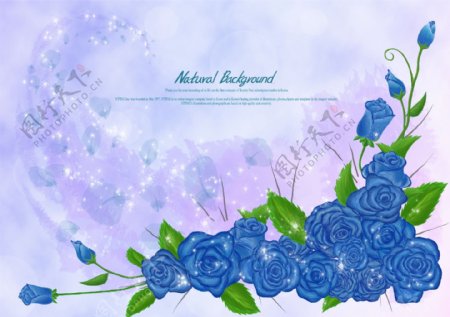 蓝色梦幻背景花朵图片
