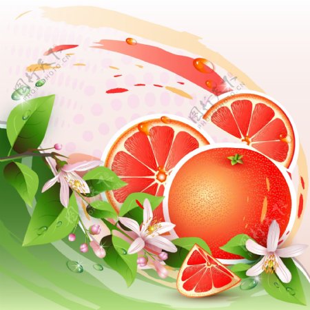 动感线条绿叶水果桔子背景图片