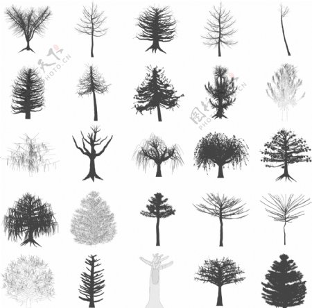 手绘素描树木图案图片