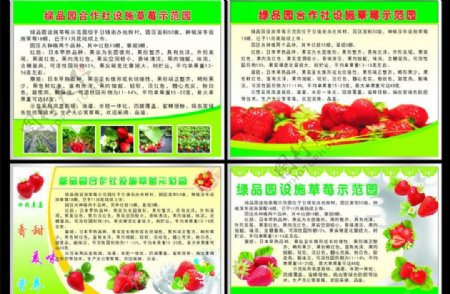 草莓广告图片