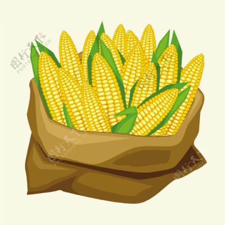玉米蔬菜设计图片