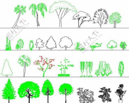 园林立面植物素材图片