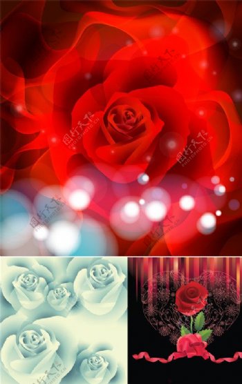 浪漫唯美玫瑰花背景图片