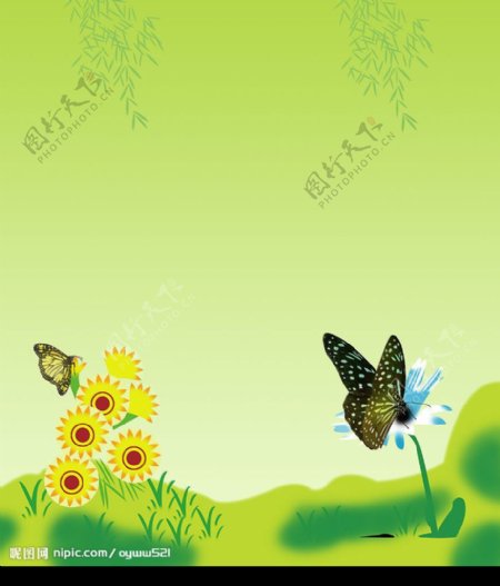 蝴蝶花案图片