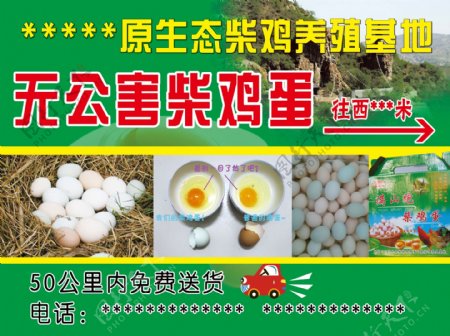柴鸡蛋养殖展板图片