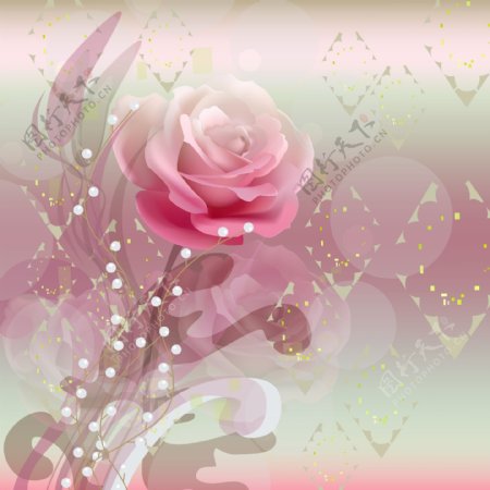 粉色浪漫玫瑰背景图片