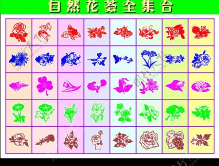 线条格式植物花荟图片