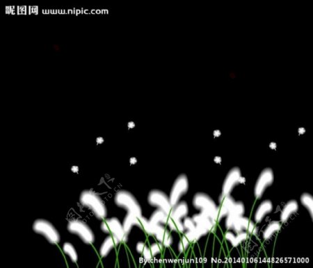 植物荧光