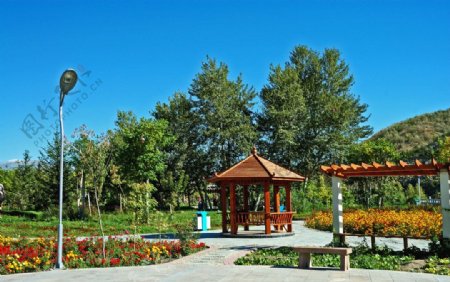 新疆阿勒泰城市景观图片