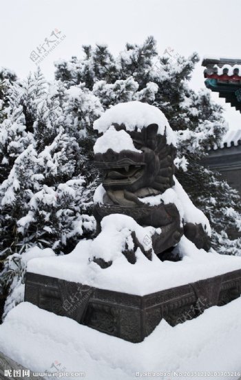 颐和园西门外的雪图片