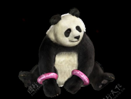 铁拳熊猫图片