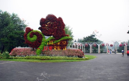 北京植物园月季花节图片