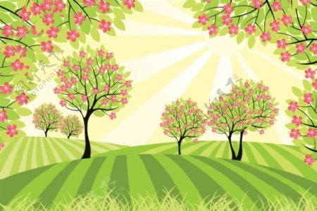 春天的田野绿树鲜花图片