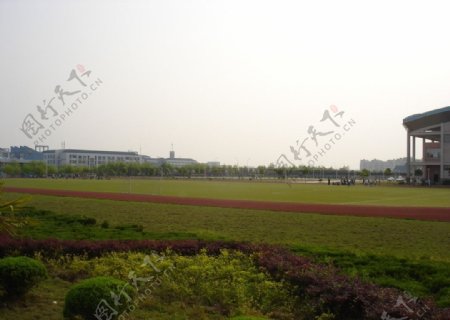 大学校园景观绿化图片