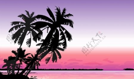 椰岛风情风格图片