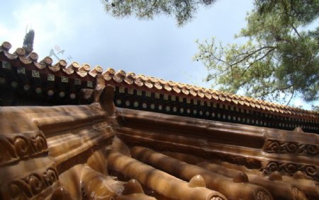 潭柘寺的屋顶图片