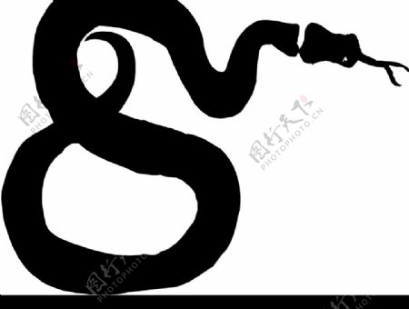 黑蛇1图片