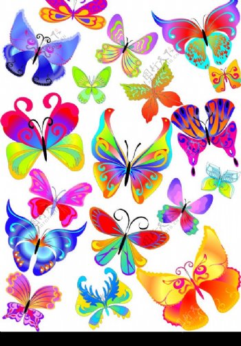 多款漂亮蝴蝶素材图片
