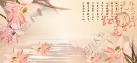 中国风红荷花莲花图片