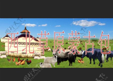 西北草原蒙古包图片