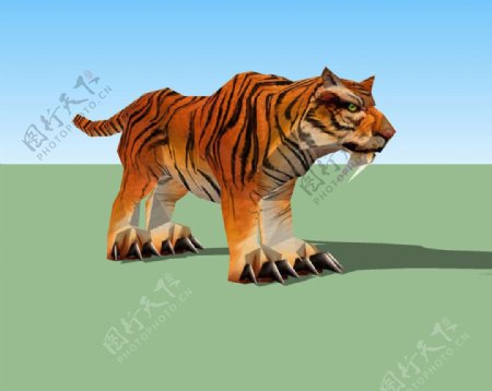 老虎3D模型图片