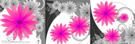 三联画花朵花卉图片