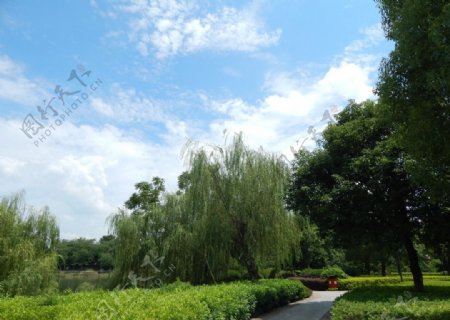 来宾兴宾公园风景图片