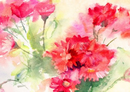 手绘水彩花卉花朵花束图片