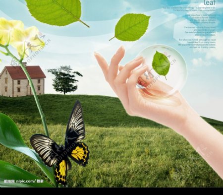 保护环境高清广告创意设计素材图片