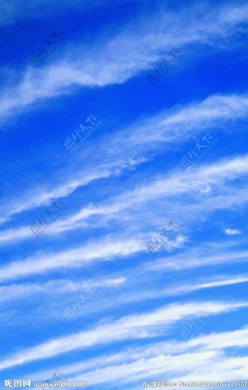纤云图片