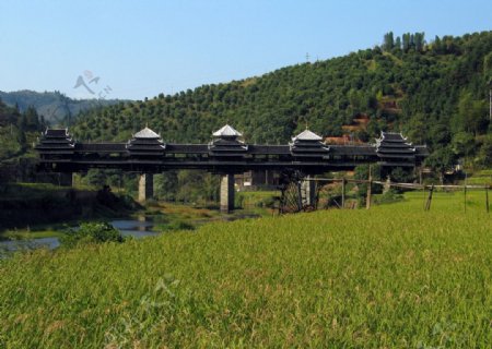 三江程阳风雨桥图片