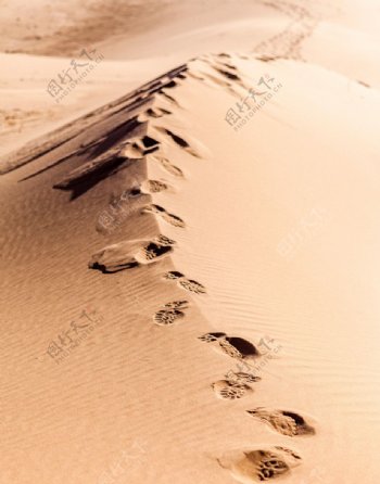 沙漠脚印图片