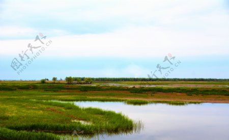 湿地风光图片