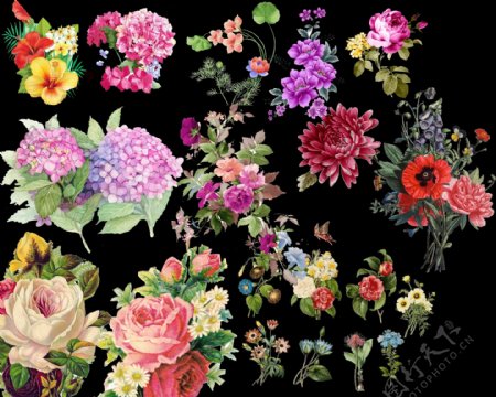 民族风手绘花朵免抠素材源文件图片