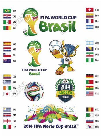 2014巴西世界杯矢图片