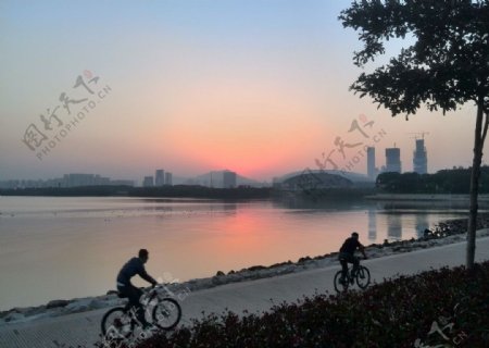 深圳湾景色图片