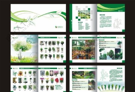 绿业画册图片