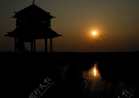 湿地公园落日图片