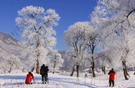 冬趣自然景观图片