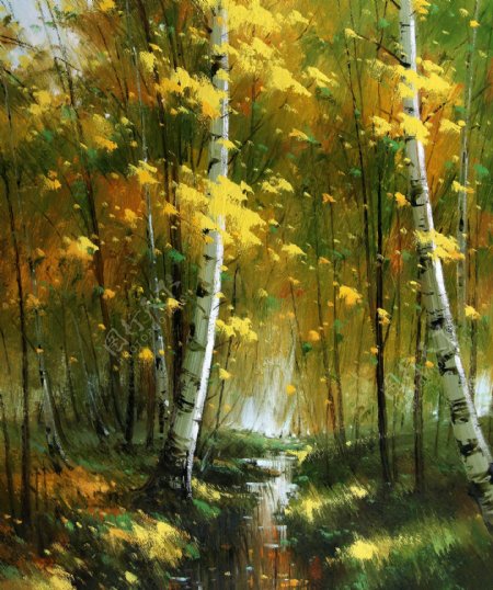 自然风光白桦林油画图片